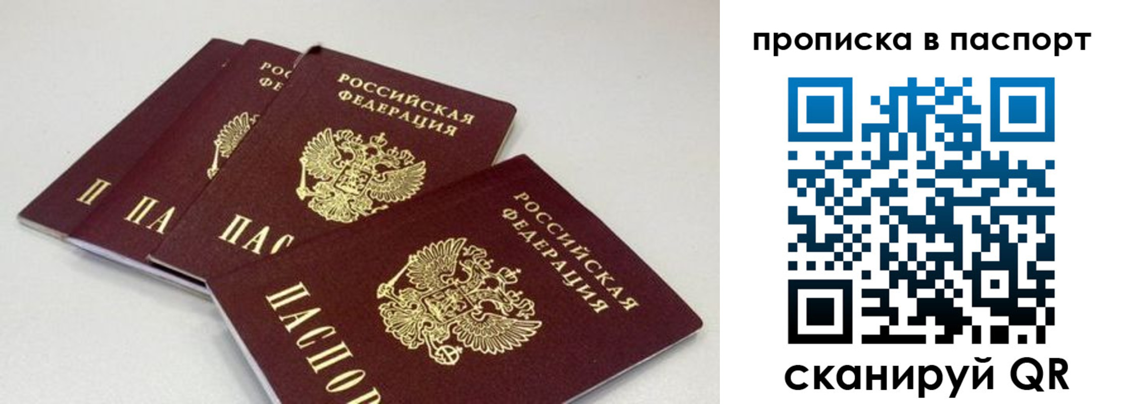 найти адрес прописки в Домодедово